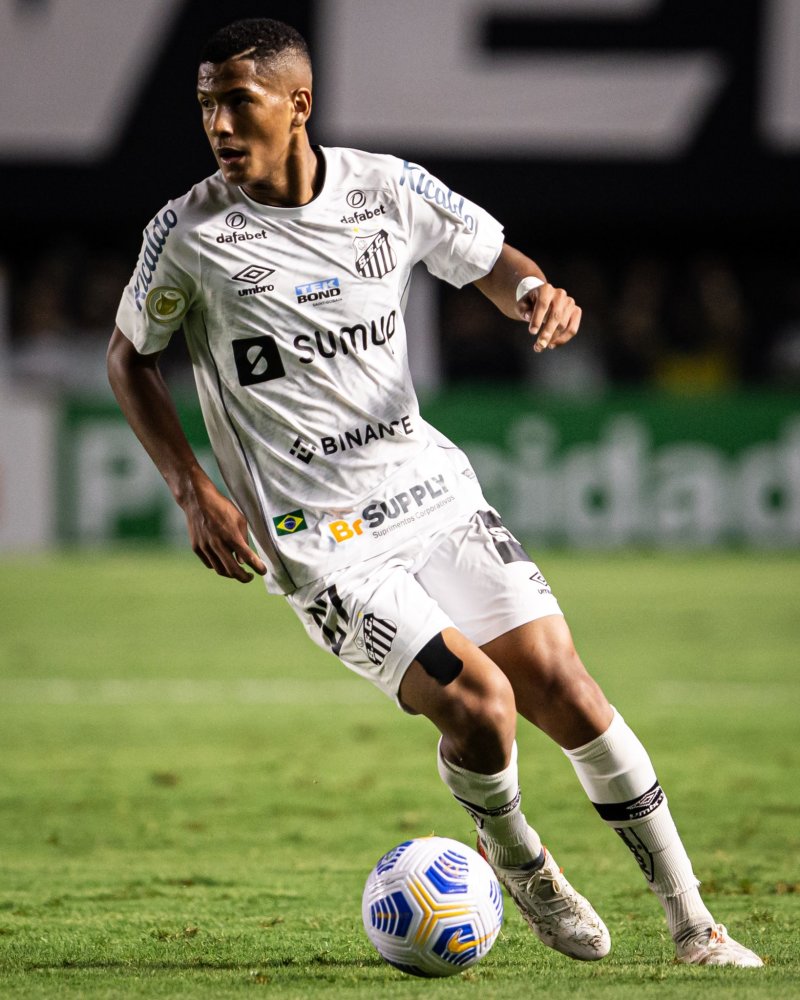 的预期贡献 的预期贡献