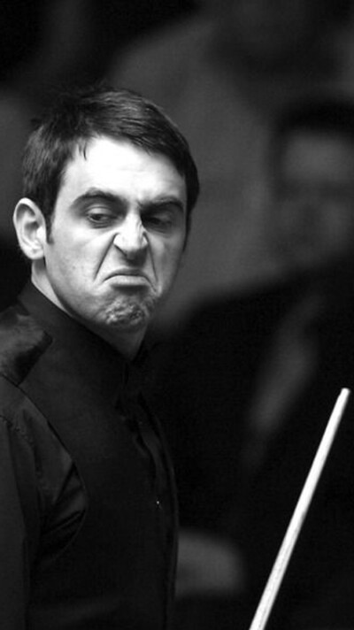 每一项都为 每一项都为